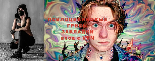 прущие грибы Алексеевка