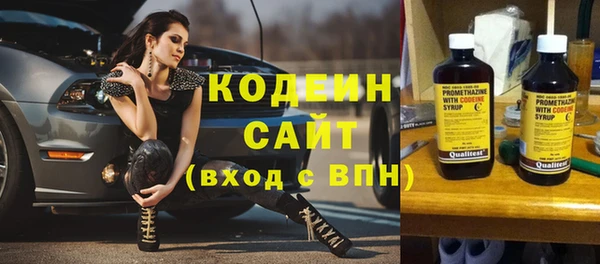 крисы Корсаков