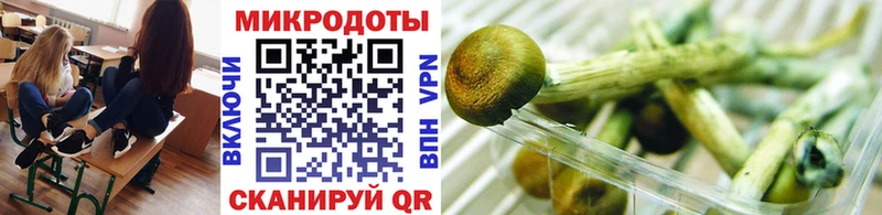 Галлюциногенные грибы мицелий  Иланский 